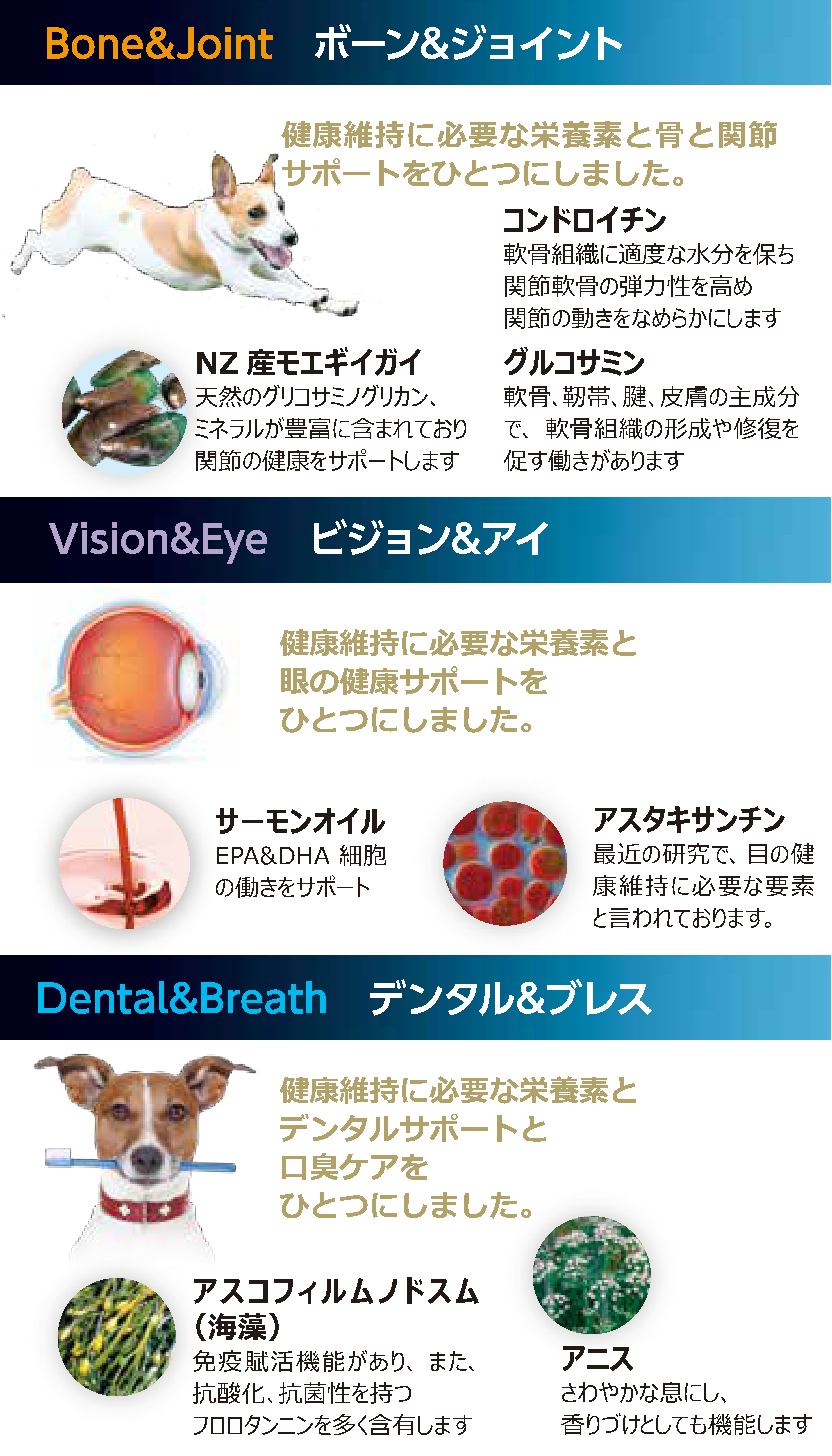 健康維持に必要な栄養素と目の健康サポートをひとつにしました。 サーモンオイル：EPA&DHA細胞の働きをサポート アスタキサンチン：最近の研究で、目の健康維持に必要な要素と言われております 健康維持に必要な栄養素とデンタルサポート&口臭ケアをひとつにしました。 サーモンオイル：EPA&DHA細胞の働きをサポート アスコフィルムノドスム（海藻）：免疫賦活機能があり、また、抗酸化、抗菌性を持つフロロタンニンを多く含有します アニス：さわやかな息にし香りづけとして機能します